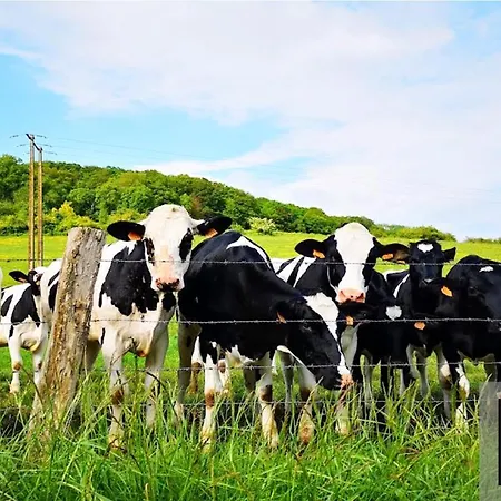 Apartmán Cosy Normandy - 04